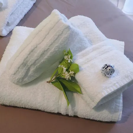 Emerald - Prestigious 5 Minutes By Car From Old Town Tatil Evi